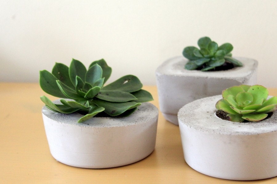 Indoor/Outdoor and Awesome Concrete Planter -Circle-