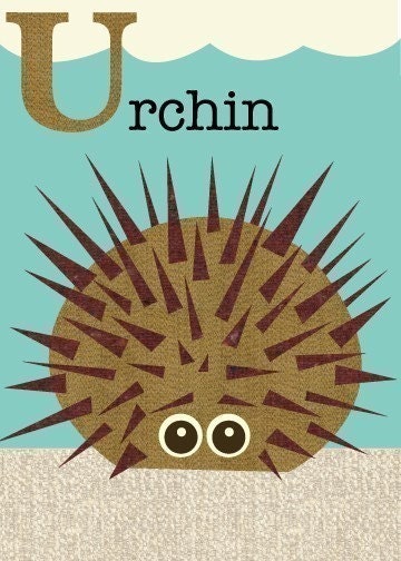 Letter U (urchin)