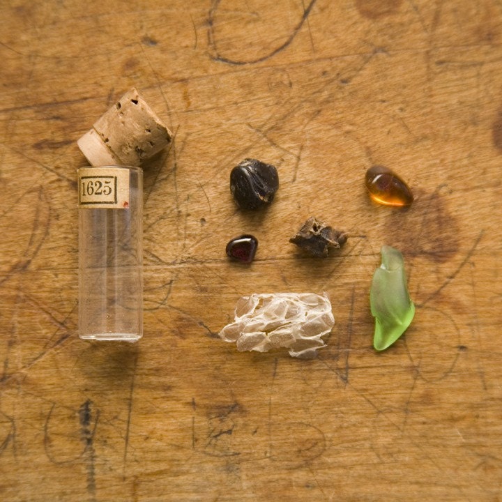 Miniature Cabinet of Curiosities 14