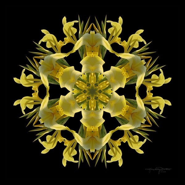 The Hidden Treasures flower mandala was created from a photo of a beautiful yellow lily.