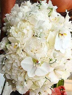 bridal flowers, bouquets etc.
