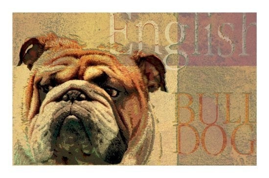 ENGLISH BULL DOG Art Print MODERN GRUNGE ART POSTER Signed CUTE DOG