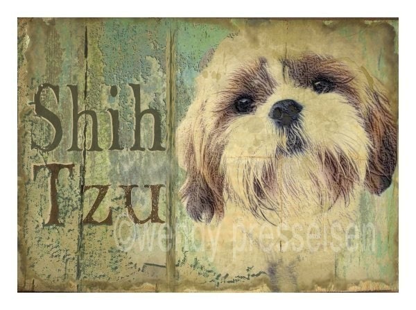 SHIH TZU Dog Art Print MODERN GRUNGE ART POSTER Signed CUTE DOG Shihtzu