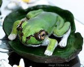 Frog Figurine Polymer Clay Scene Sculpture on Mirror Pond OOAK