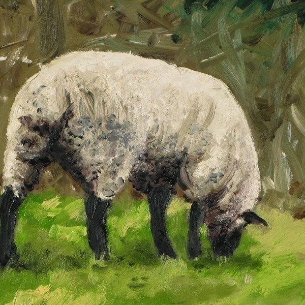 Grazing Sheep at Broken Barn - Print of Original Art by HARRY