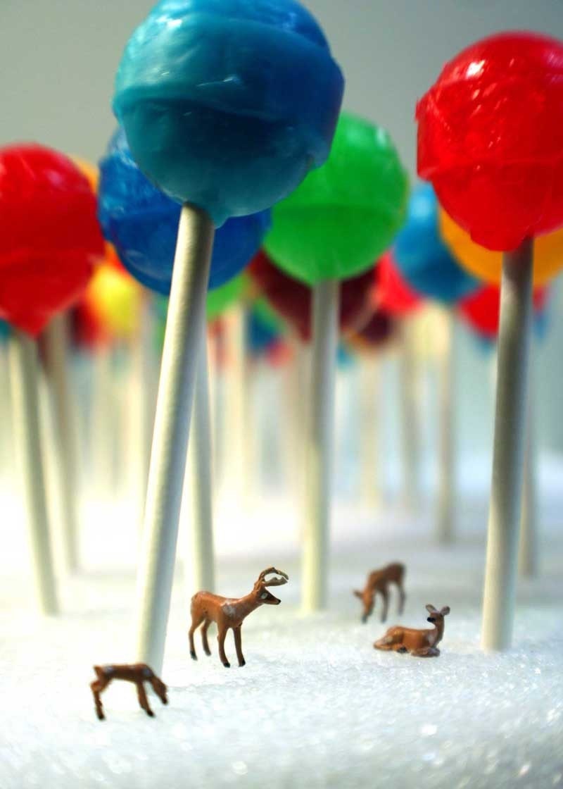 Lollipop Forest- 5x7 Metallic Print