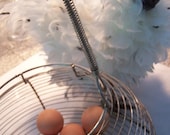 French Farmhouse Wire Egg Gathering Basket