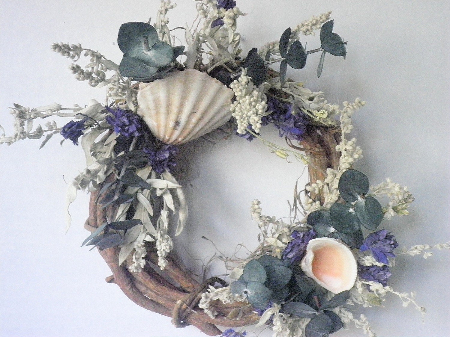 Grapevine with Scallop Shell and Dried Flowers