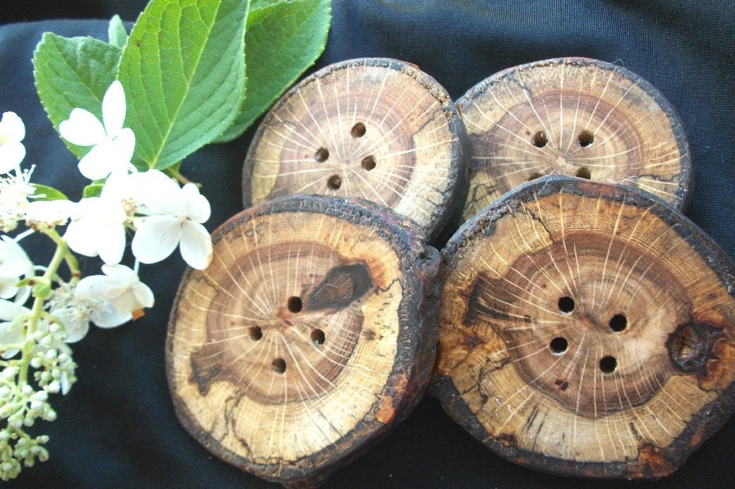 4 Beautiful Oak Wood Tree Branch Buttons ...2 1/4 to 2 1/2 Inch... - Wooden Buttons for your Knitting, Crochet or Sewing