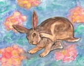 Itchy Ear  - Original Watercolor Animal Painting