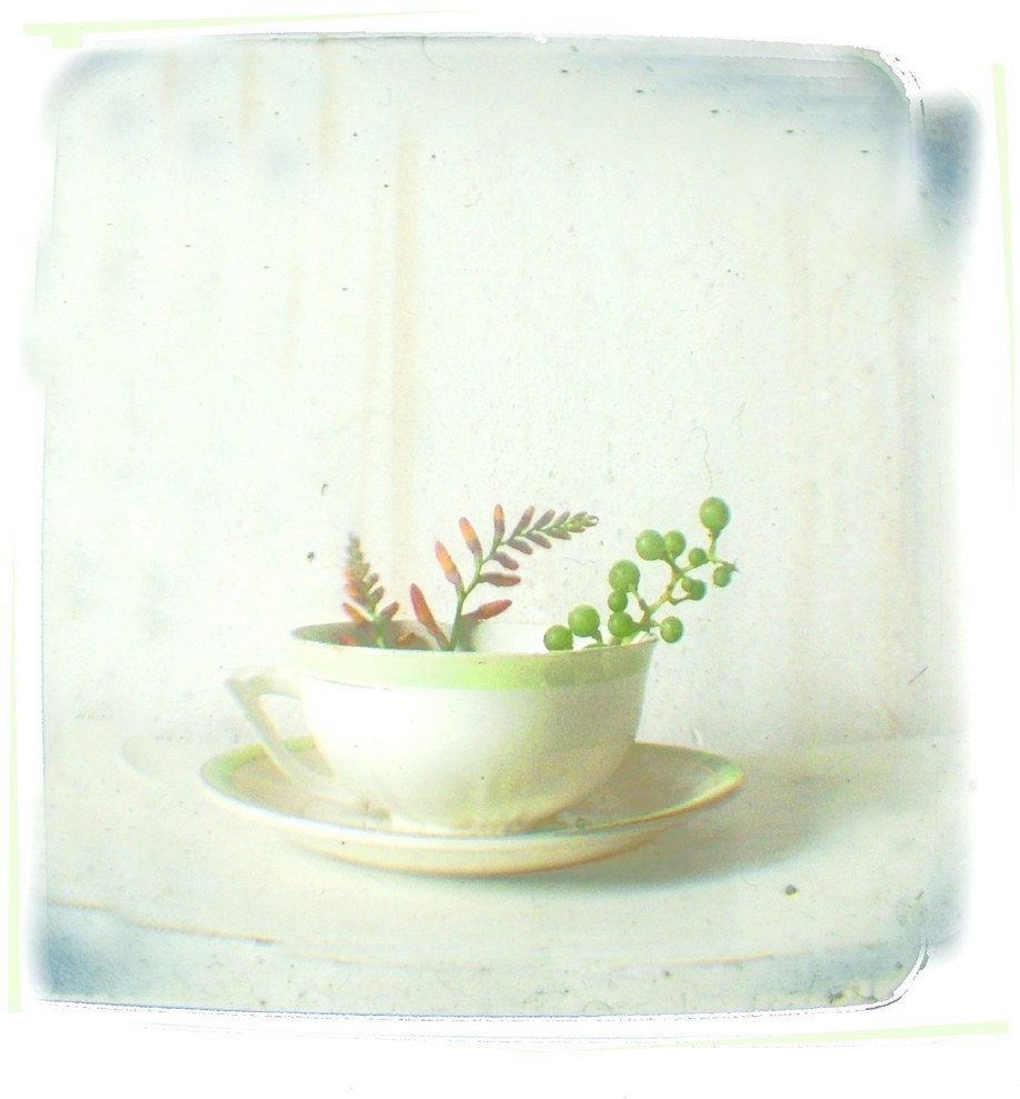 Simple, Minimalist White and Pale Green Vintage Teacup Still Life Print
