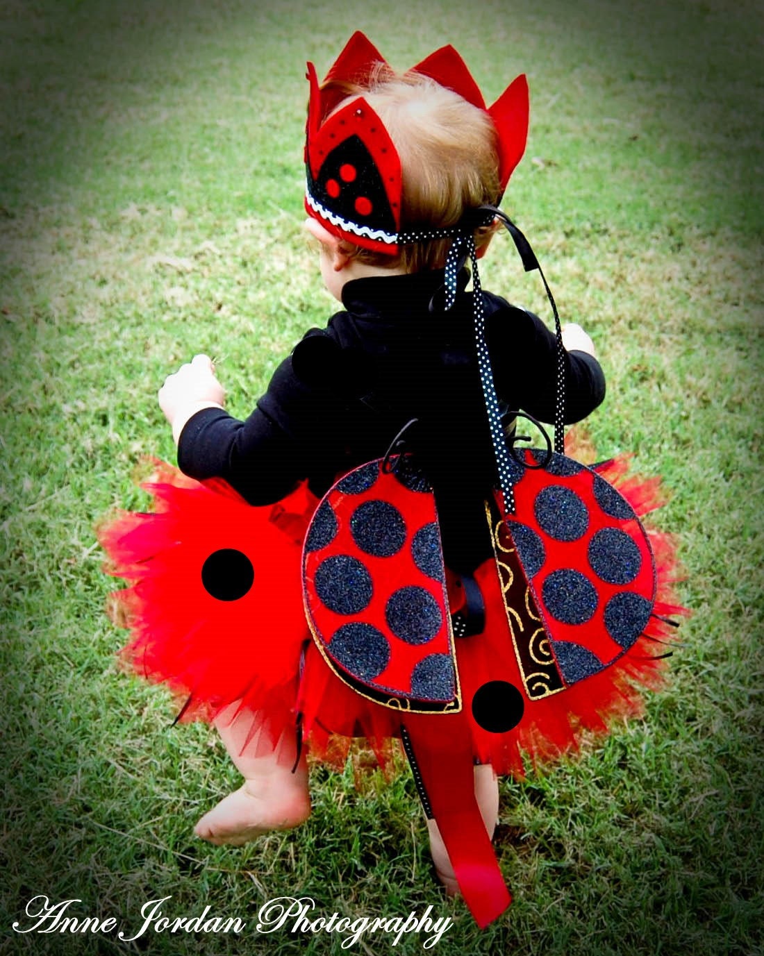 Lady Bug Tutu Costume Baby Toddler