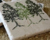 Pine Tree Absorbent Tile Coasters, Set of 4, Ready to Ship
