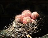 Nest of Felted Spheres