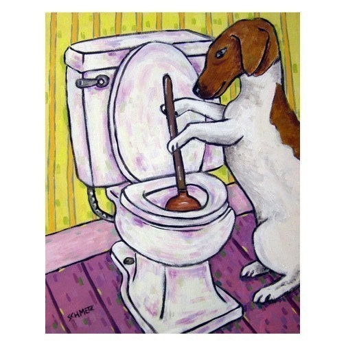 Jack Russell Terrier Plunging a Toilet Dog Art Print