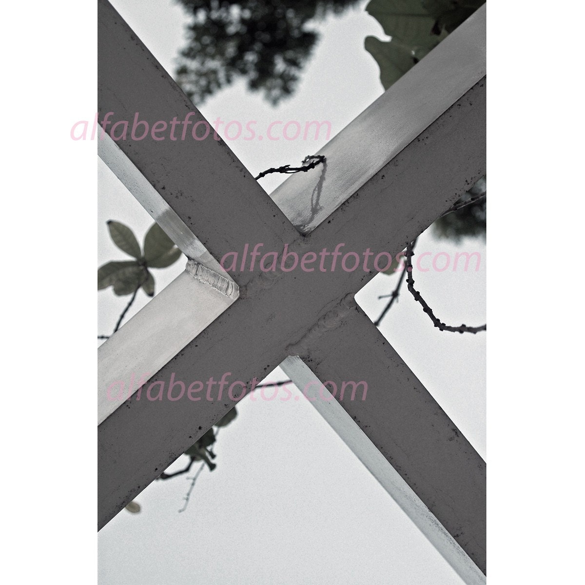 The Letter X in Alphabet Letter Photography 4X6 Individual Single Prints (unframed)