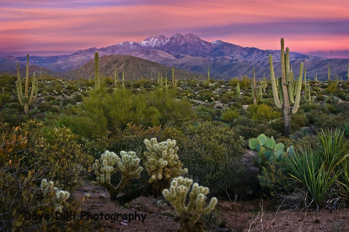 7 x 10 Photograph - Arizona Four Peaks Pink Sunset Fine Art
