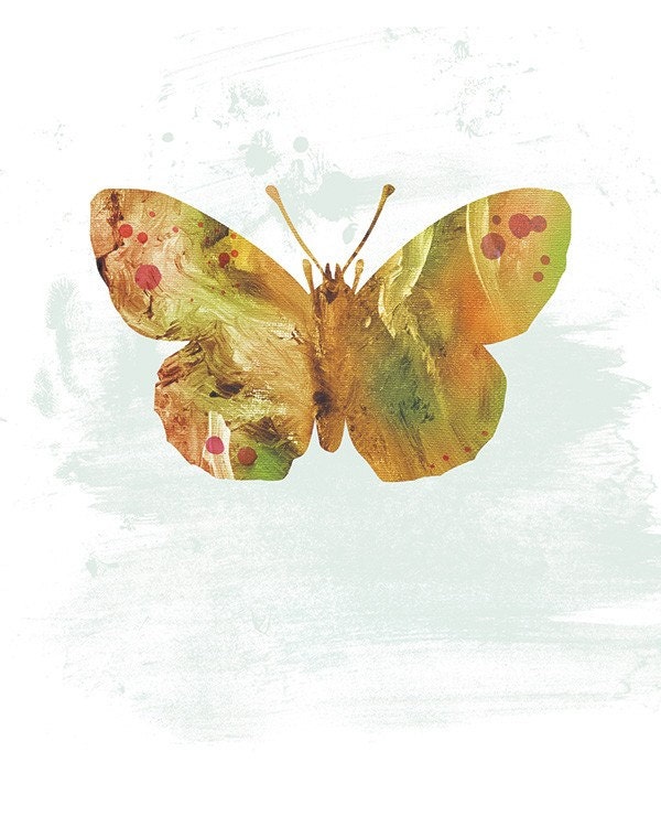 Glenn - Butterflies and Moths Series - 8x10