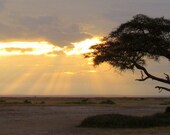 African pictures, Silhouetted at Sunset by Kathryn Hansen
