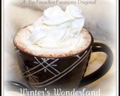 Hot Drink Mix / Winter's Wonderland/ Shipping Included