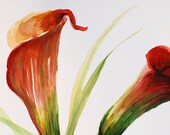 Calla Lilies, Unique one of a kind original watercolor painting