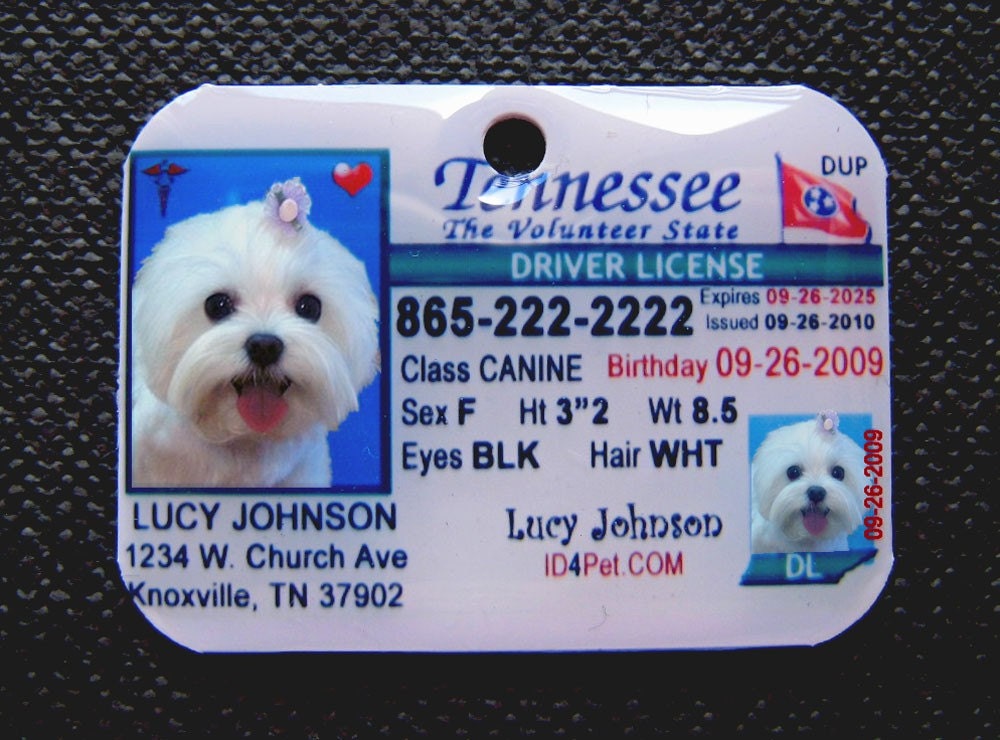 Dog ID Tags Tennessee Driver License  - Double Sided