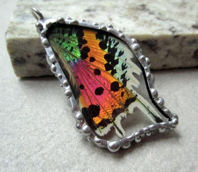 Real Butterfly Wing Jewelry - Pendant - Madagascan Sunset Moth
