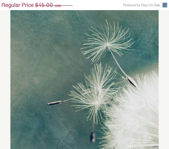 25% OFF Sale- Teal dandelion Photo - Apocatastasis - turquoise seafoam whimsical flower photography