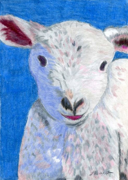 Cuddly Lamb Colored Pencil painting reproduction 5 x 7 Cute Sheep