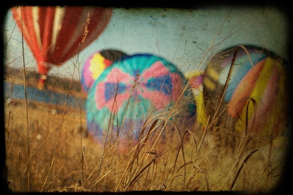 Hot Air Balloons 8x12 Orginal Photograph