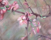 Spring Blossoms Limited Edition Print