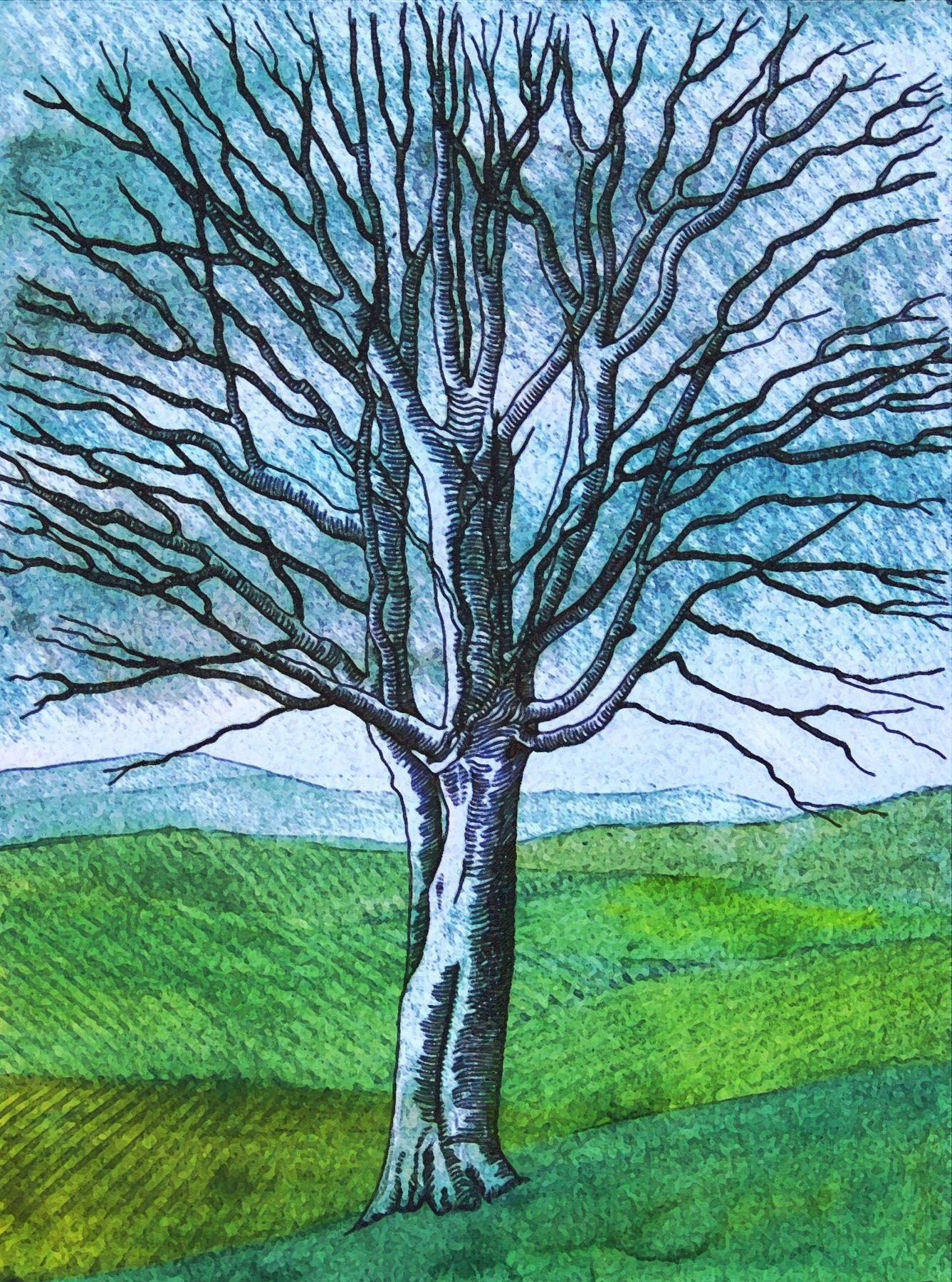 Ghost Tree - Giclee Fine Art Print