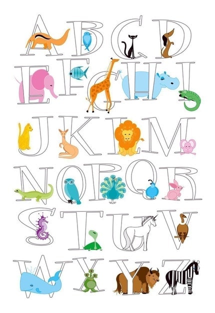 AnimAlphabet Poster - Kids Room Art by Kerry Beary ABCs and Animals Alphabet