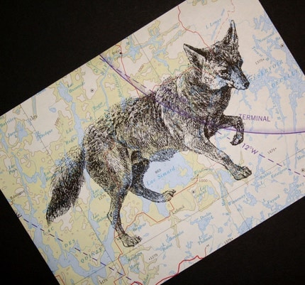 Fox Print on Topographical Map - Canada - 5 x 7