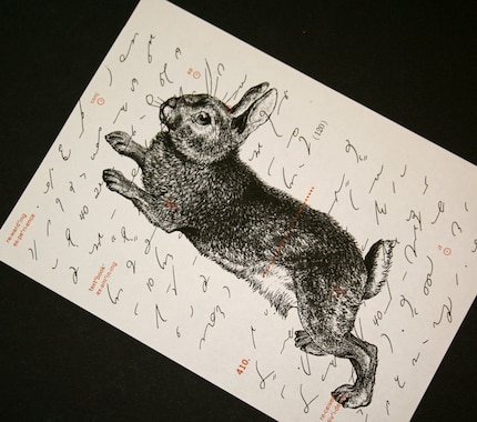 Leaping Rabbit on Shorthand Text - 5 x 7