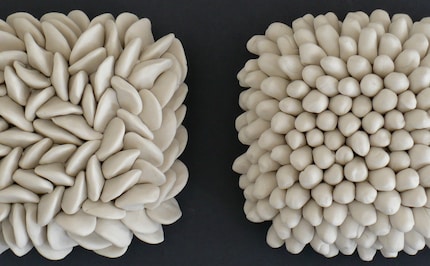 Pair of Succulent  Micro Tiles