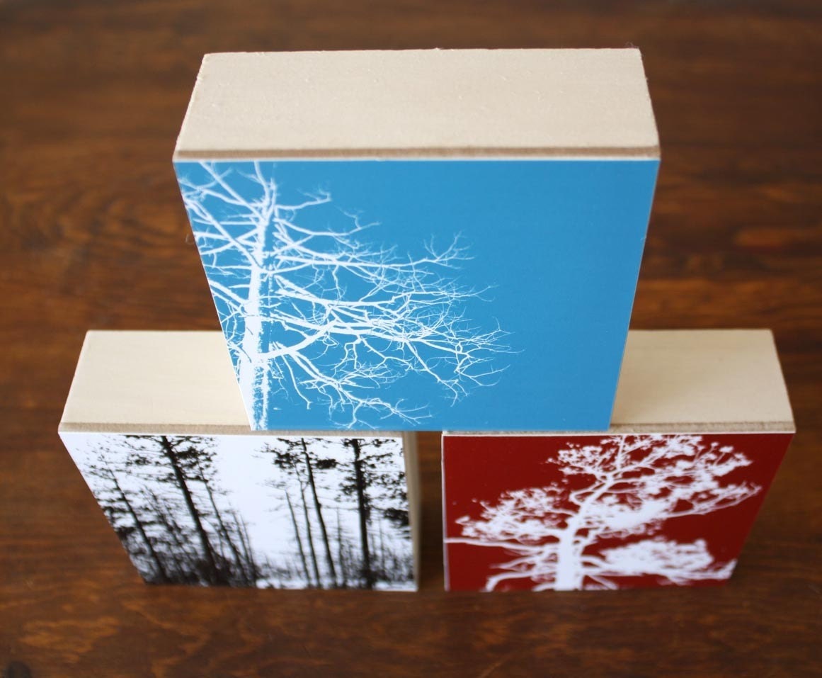 Tree Silhouettes 3 Pack - 3 Mounted Photographs