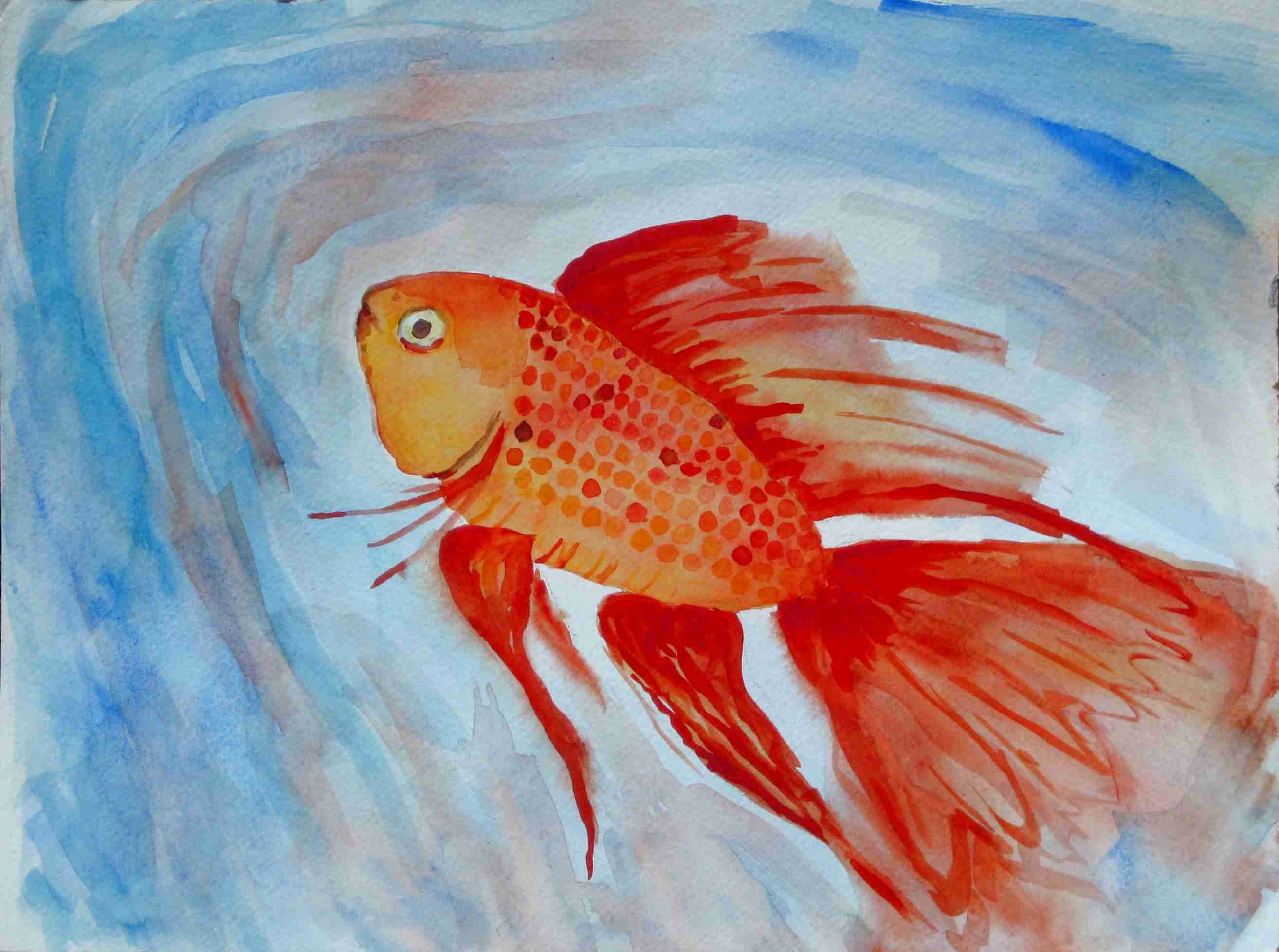 Orange Fish Against the Current original watercolor 9X12