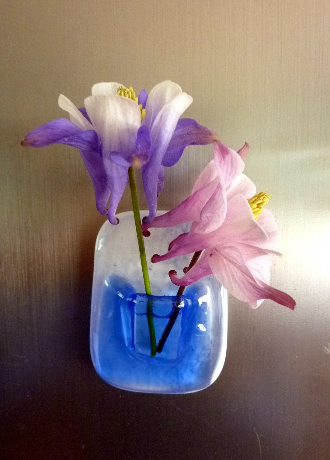 Glass Pocket Magnetic Vase