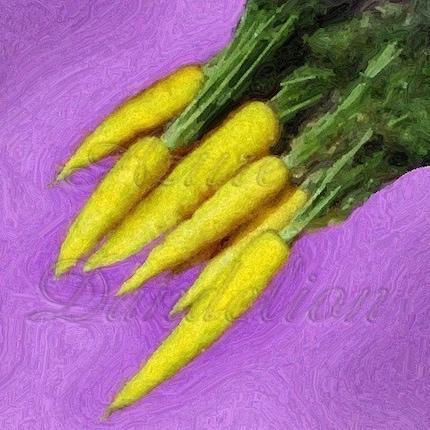 Heirloom Amarillo Yellow Carrot
