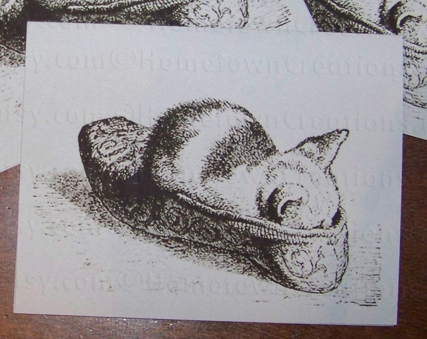 Notecards for All Ocassions - Kitten Sleeping In Shoe