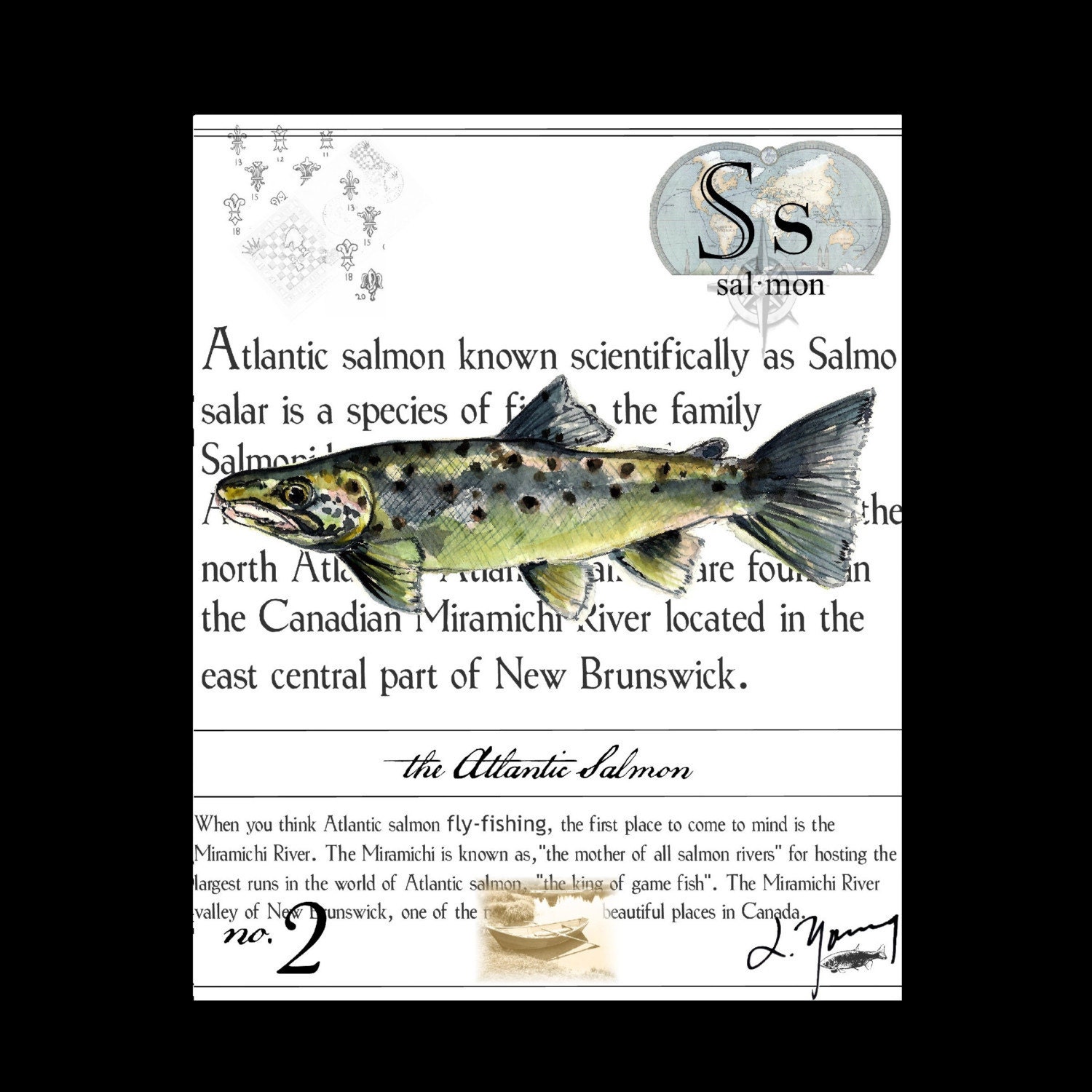 Canada New 
Brunswick Atlantic Salmon on Canvas - 8x10