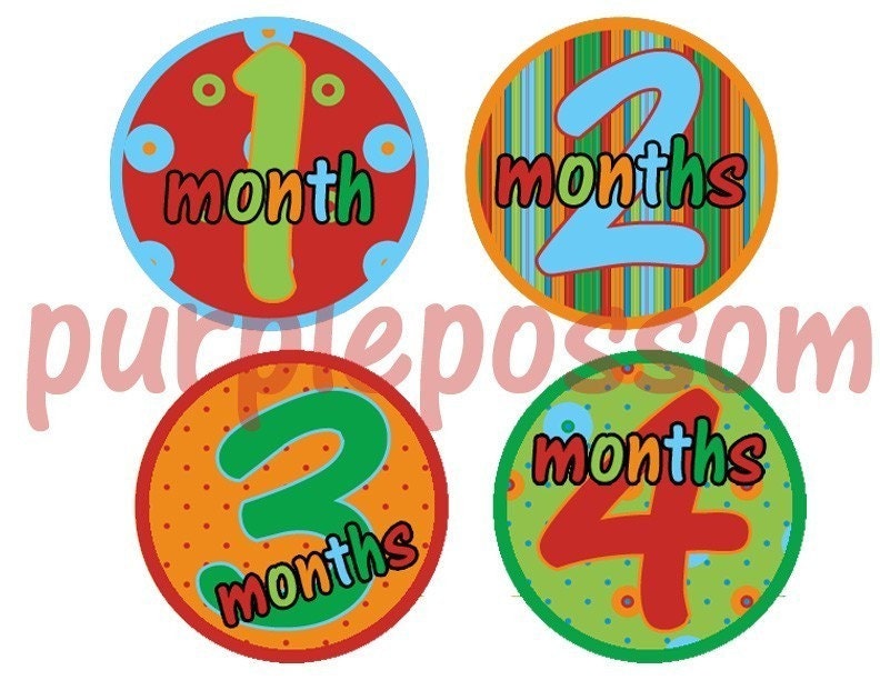 Monthly Onesie Stickers-Ethan