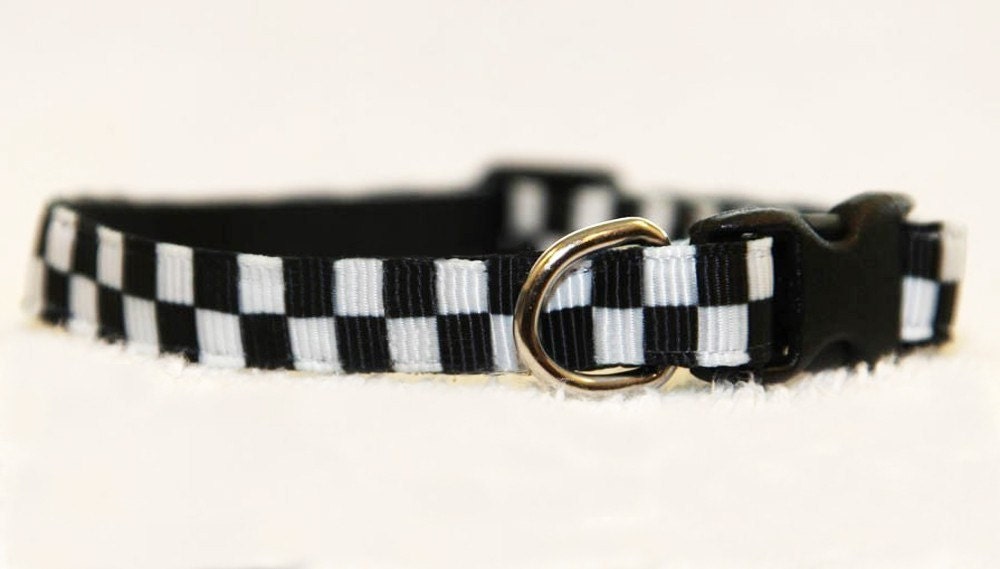 The Checkered - Cat Collar