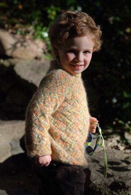 Autumn angora boy's basket-weave entrelac sweater