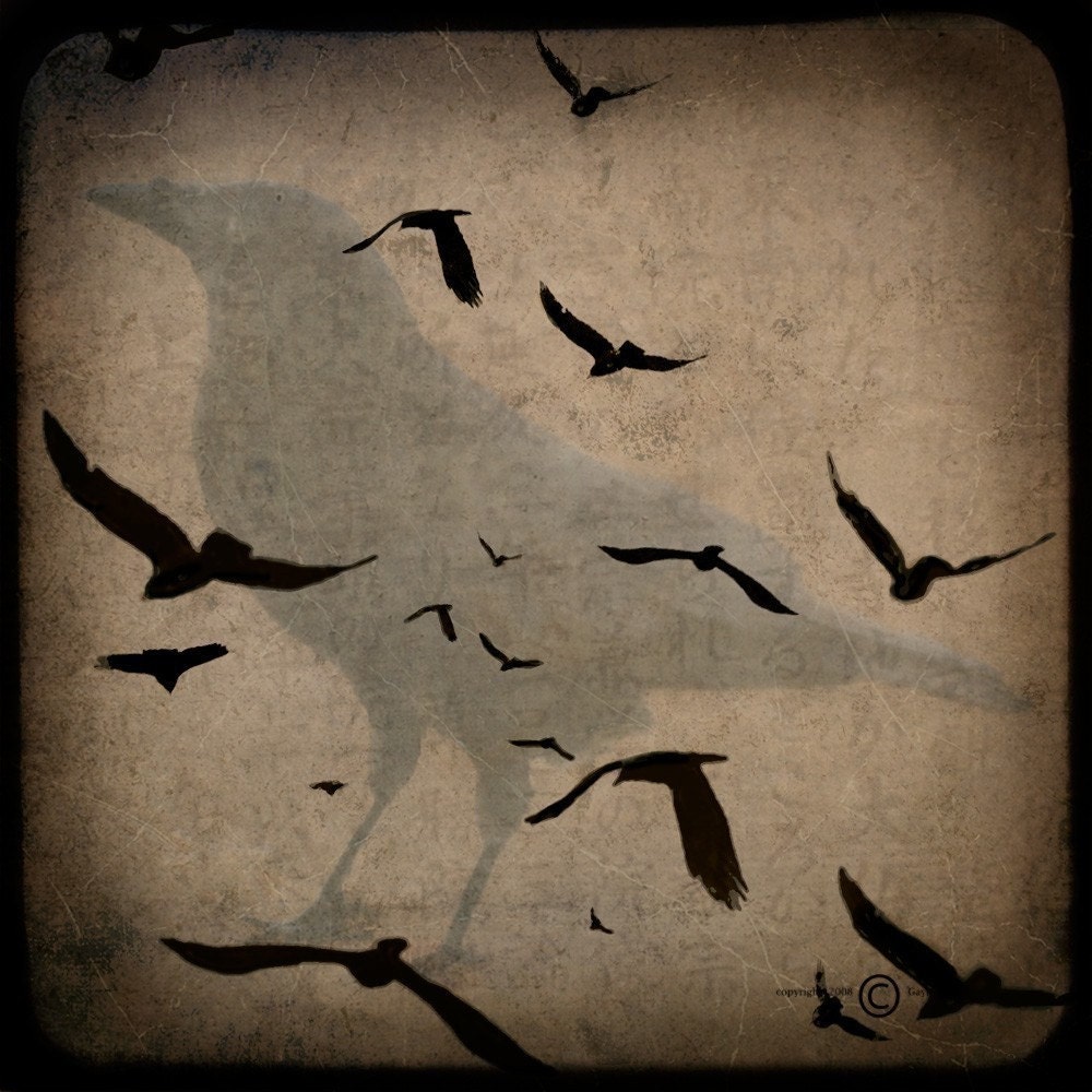 Black Crows Gathering Collage 5x5 TTV Original Signed Fine Art Photograph