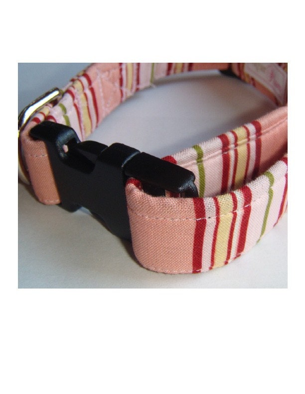Candy Stripe-Adjustable Dog Collar