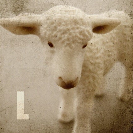 L is for....., a 5x5 print