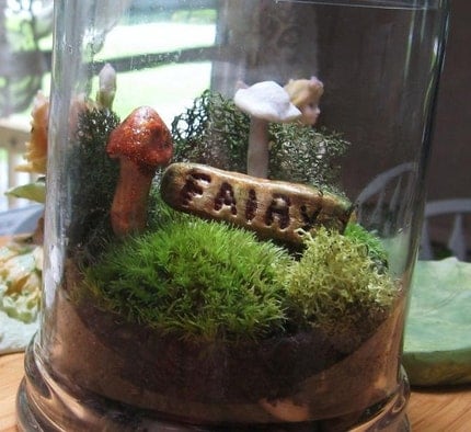 Moss Terrarium , FAIRY Garden in a Jar with Handmade Mushrooms