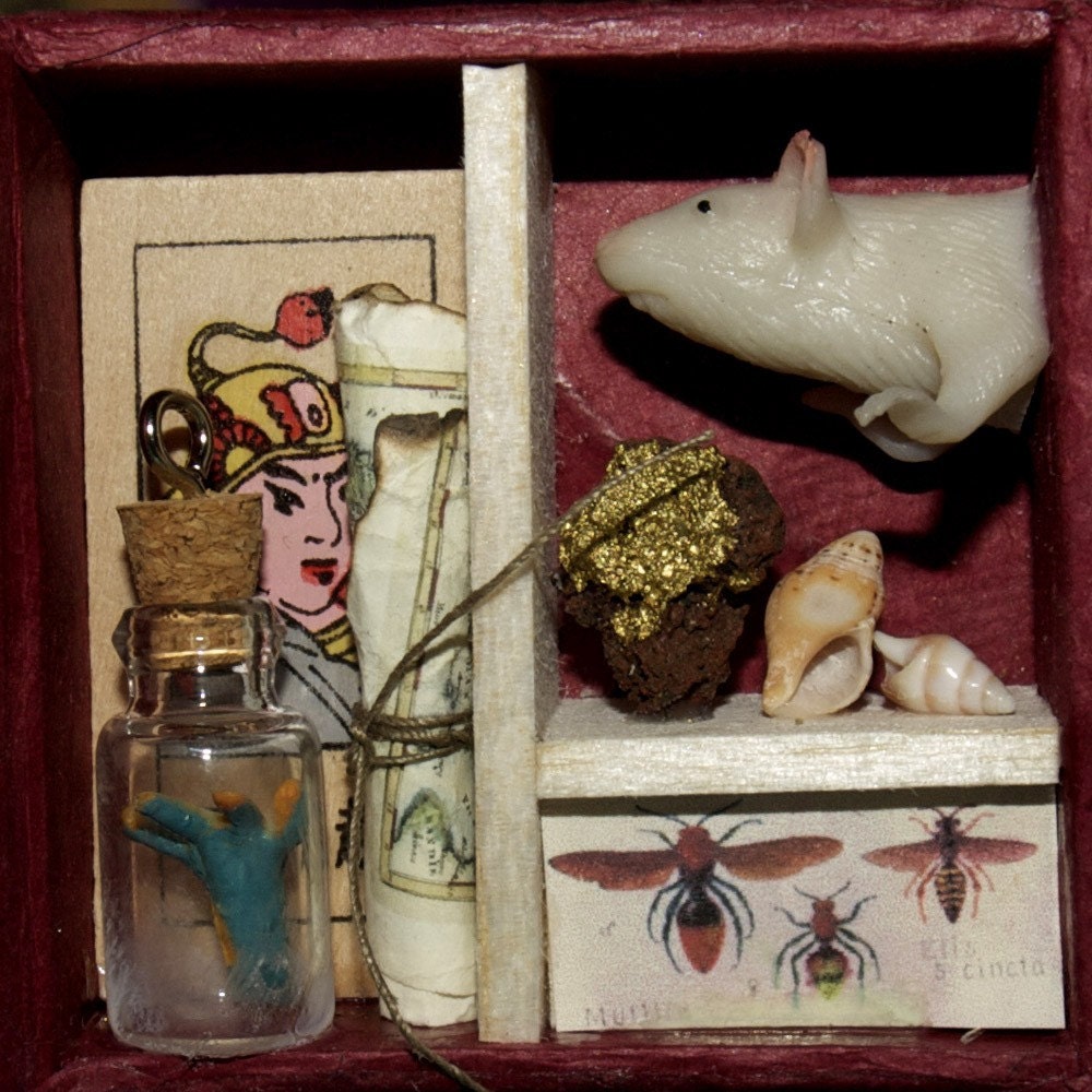 cabinet of curiosities no. 2      plus bonus miniature book